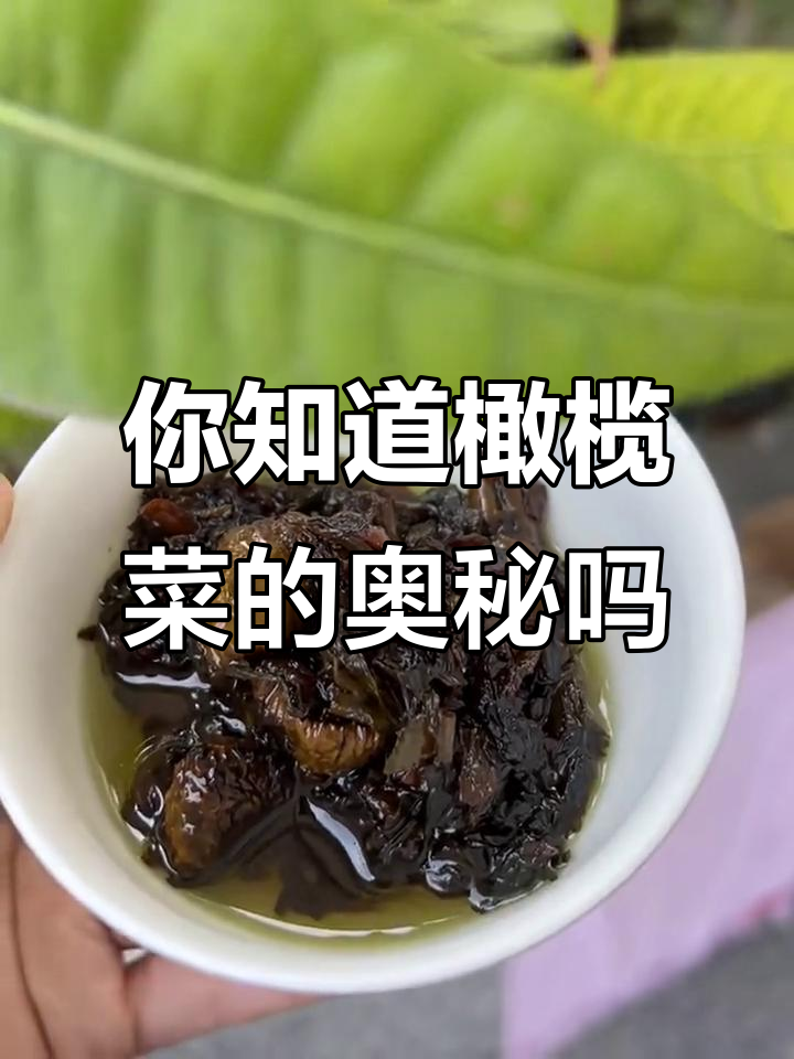 橄榄菜背后的秘密,你了解吗?
