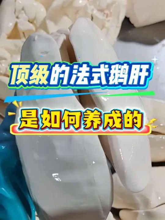 顶级的法式鹅肝是如何养成的