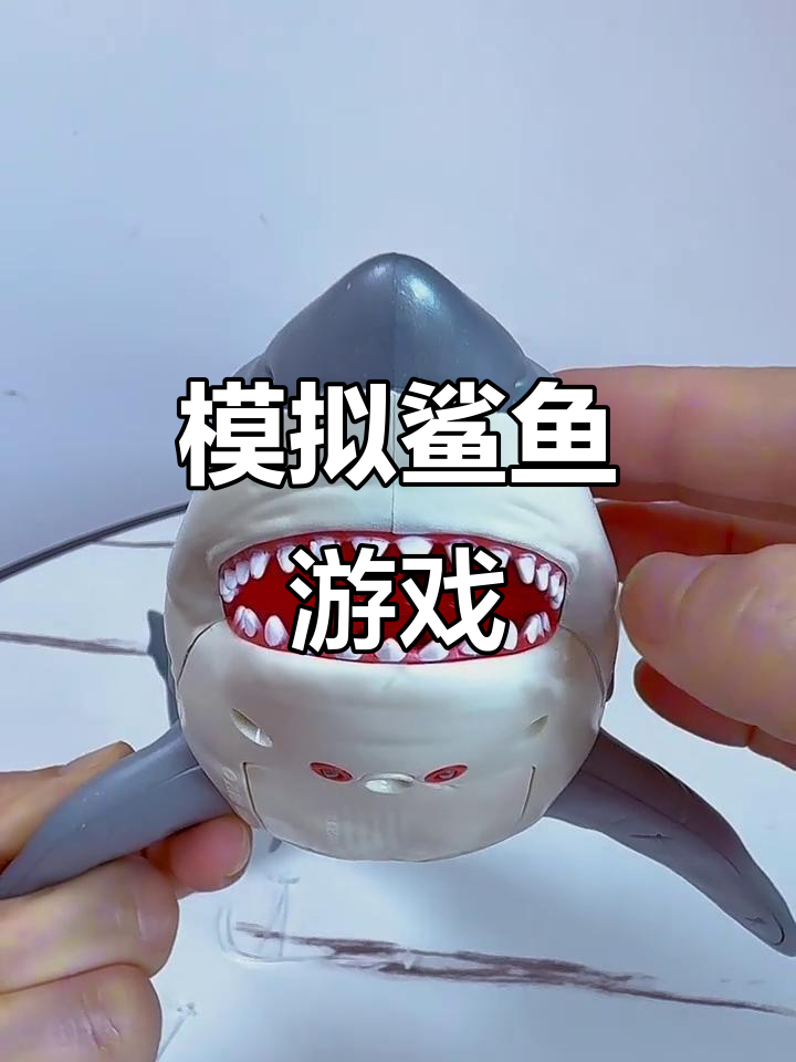 玩仿真鲨鱼,体验真实海洋世界