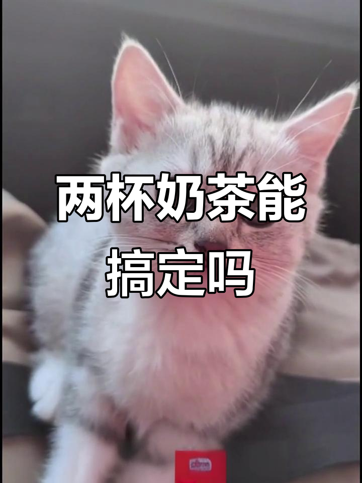 胖嘟一岁半,爸爸想用两杯奶茶收买我?