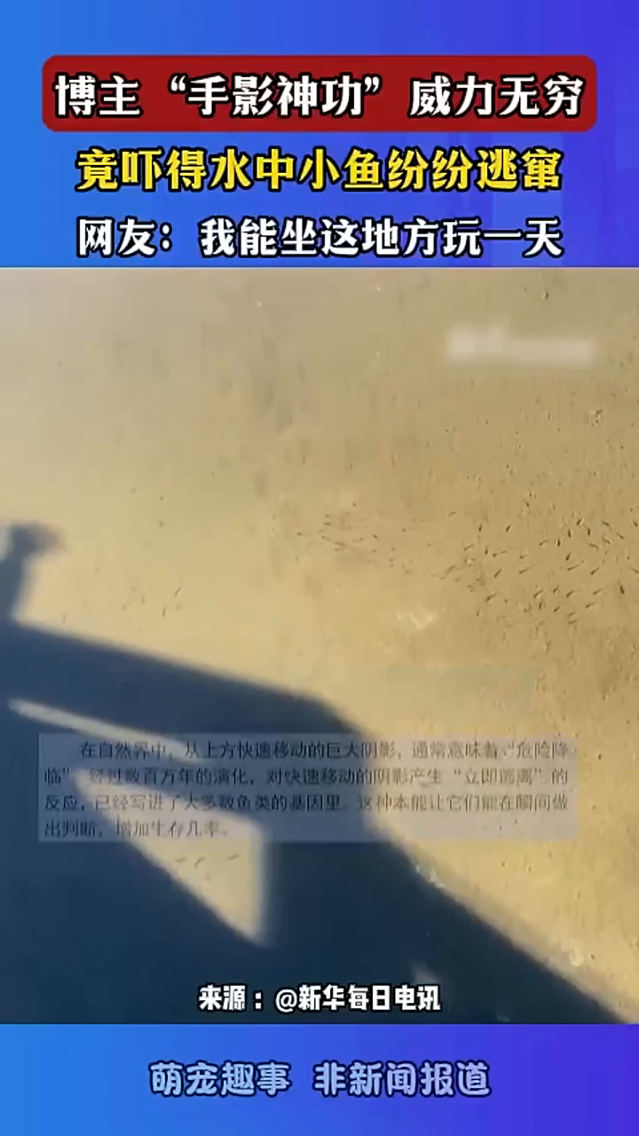 博主“手影神功”威力无穷,竟吓得水中小鱼纷纷逃窜