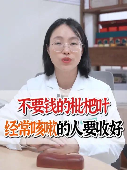 不要钱的枇杷叶 经常咳嗽的人要收好