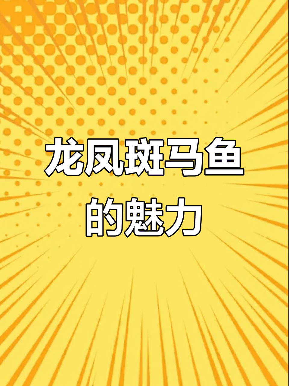 梦幻蝶翼斑马鱼,美丽到让人落泪!