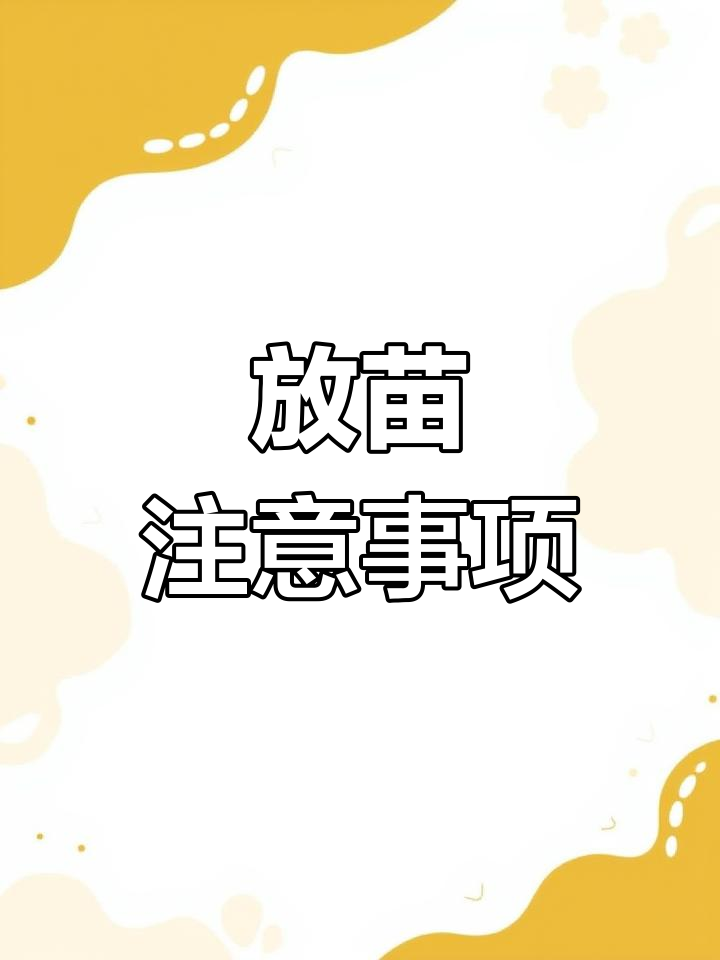 鱼苗下塘当天必知技巧,掌握这些关键点让养殖更顺利
