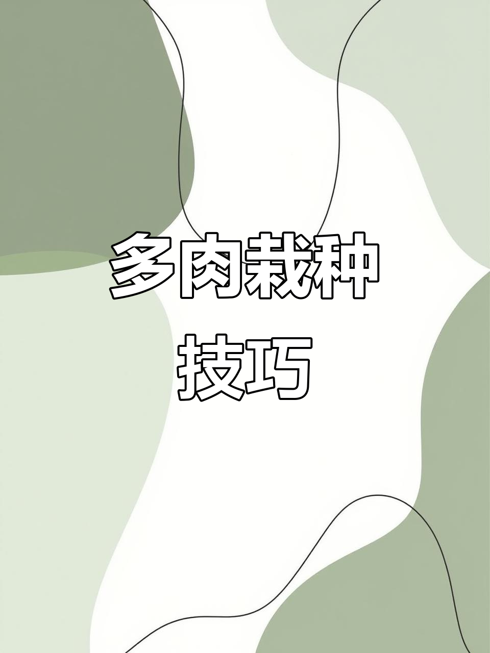 如何正确种植多肉植物，步骤全解析