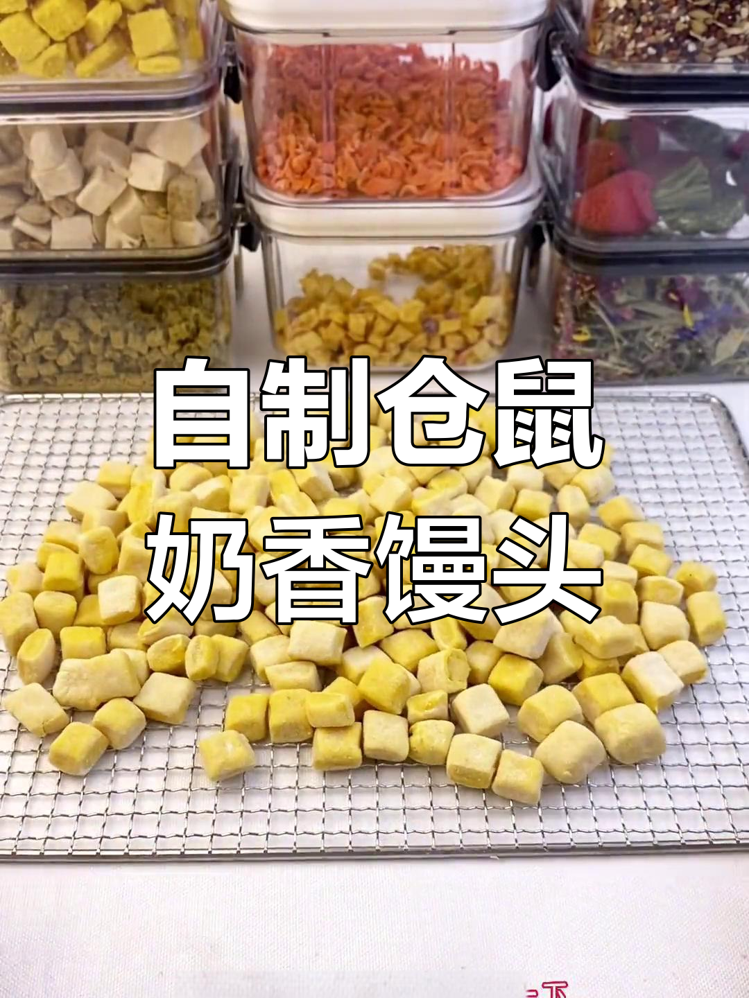 奶香南瓜小馒头,仓鼠最爱零食