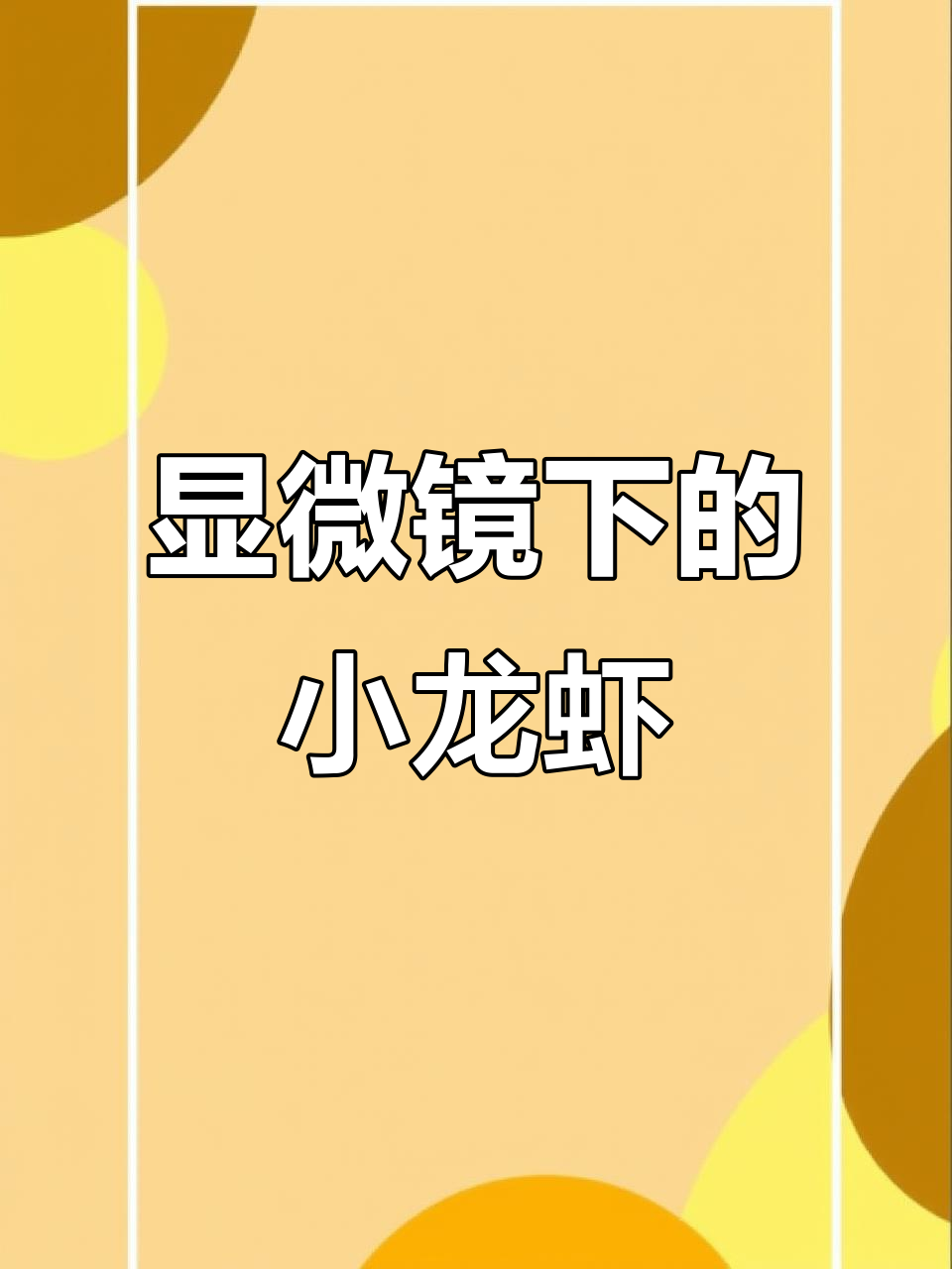 小龙虾放大800倍,微生物全曝光!吃之前必须煮熟