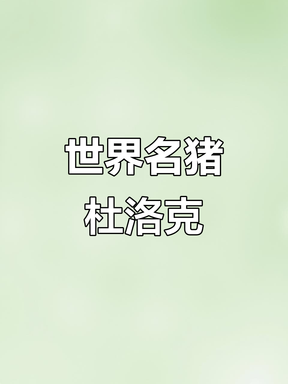 杜洛克猪:强耐性、高生长,世界著名瘦肉型种猪