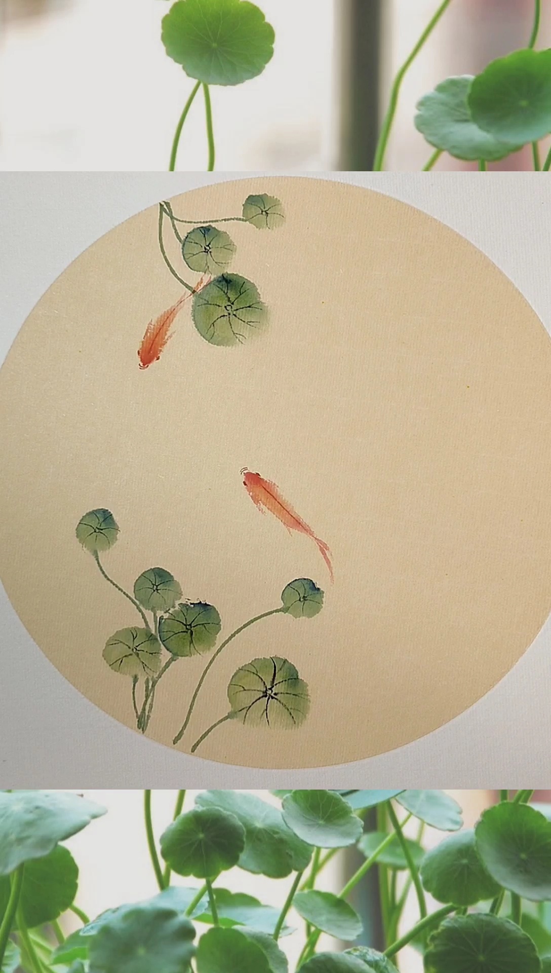 国画铜钱草金鱼