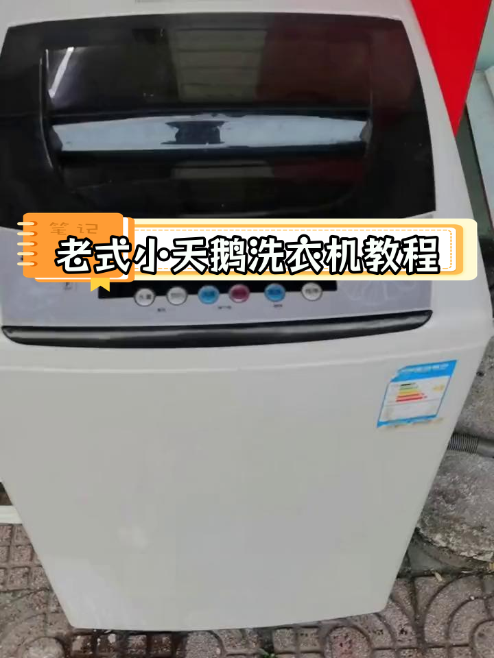小天鹅洗衣机使用指南:老款机型设置解析