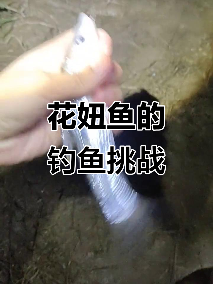 郑州黄河特产花妞鱼,钓友们有遇到过吗?