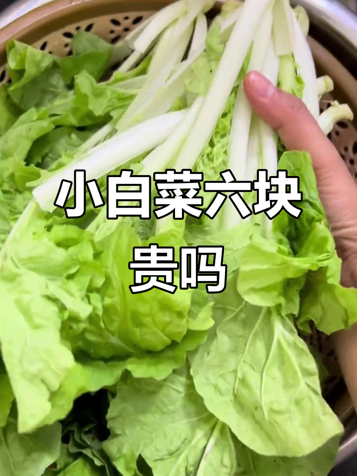 海南小白菜6元一斤,值不值?