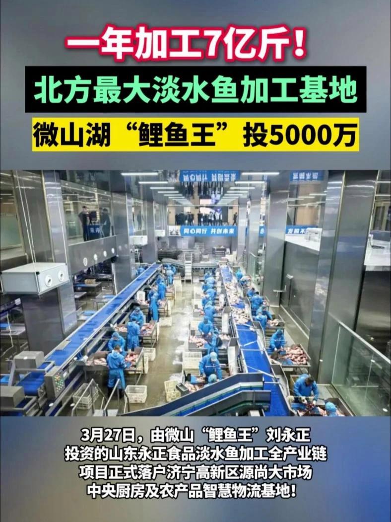 一年加工7亿斤!北方最大淡水鱼加工基地正式落户济宁!#加工厂 #水产养殖 #淡水鱼 #鲤鱼