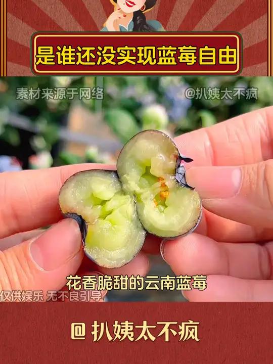 是谁还没实现蓝莓自由