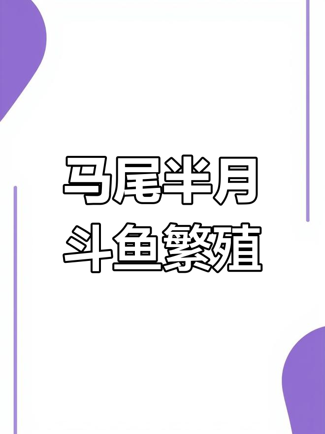 泰国斗鱼马尾与半月繁殖实验,品种预测