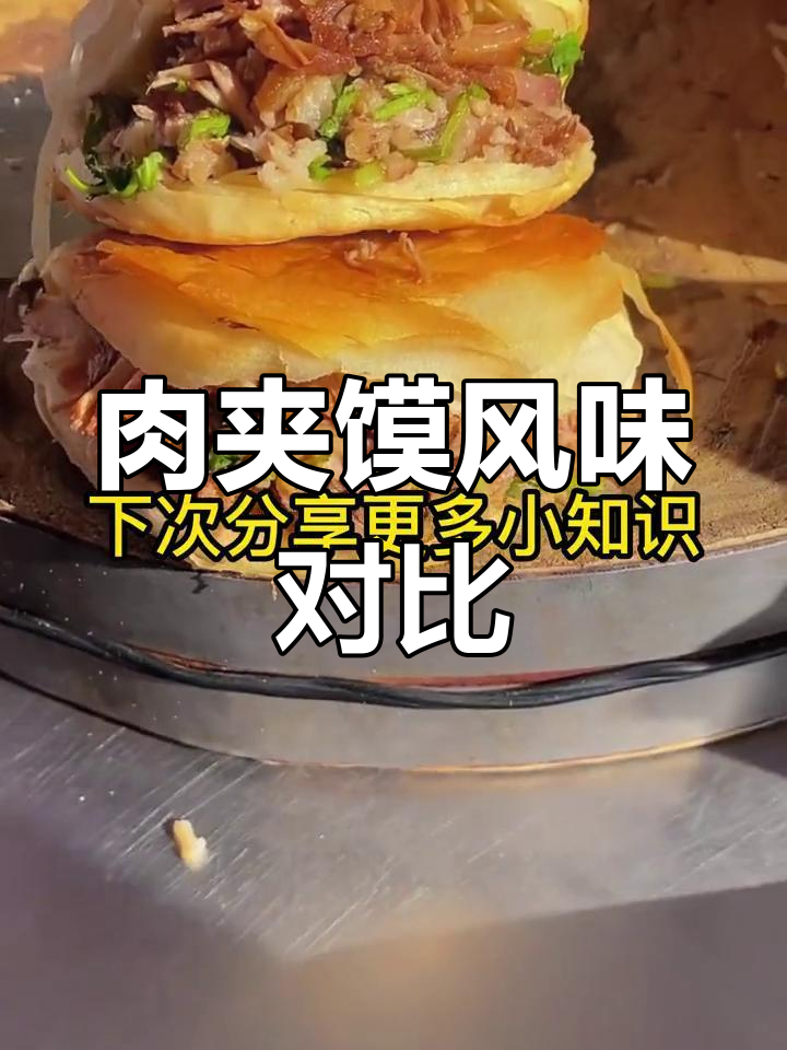 老潼关与腊汁肉夹馍,风味差异大!