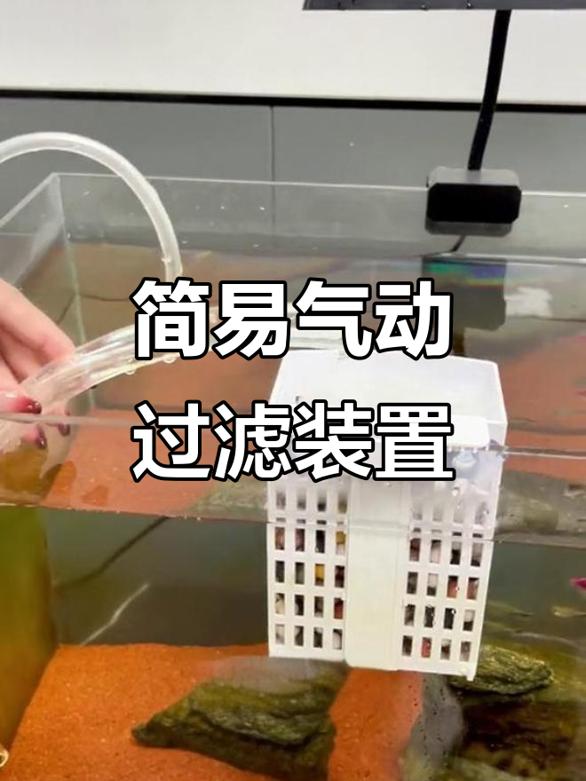 自制鱼缸过滤器,无需水泵轻松抽水