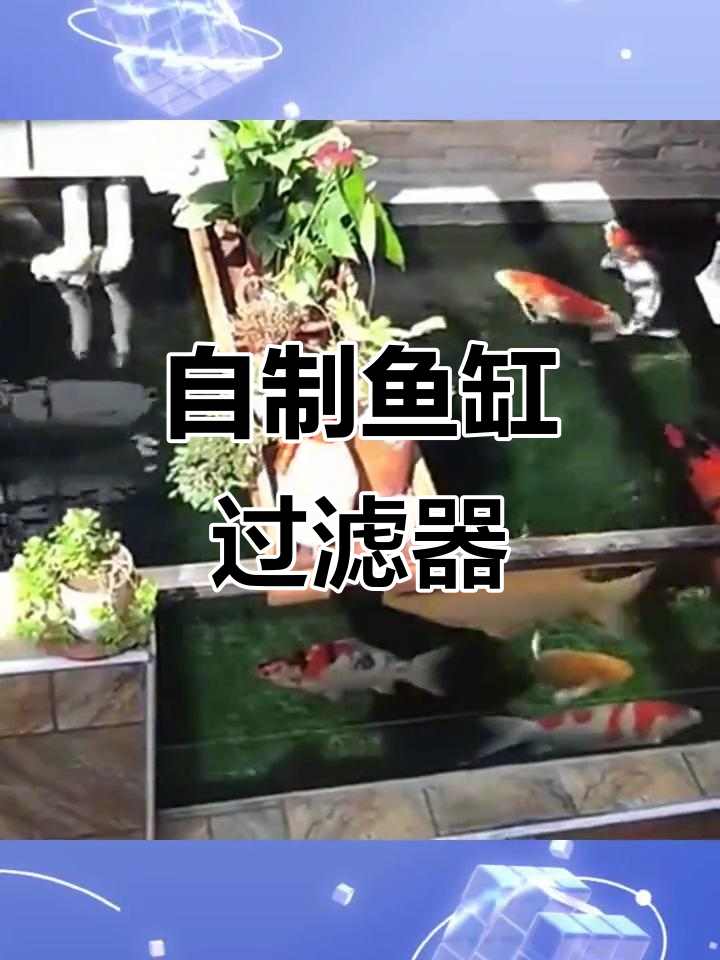 鱼缸过滤箱DIY,打造高效水循环系统