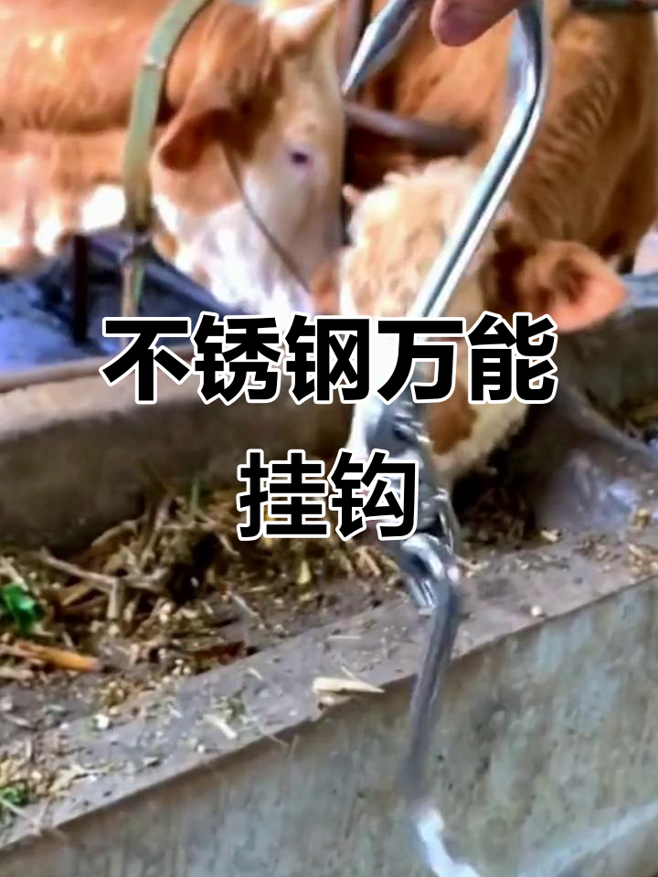 304不锈钢旋转肉钩,轻松挂腊肉,万向连接设计更灵活