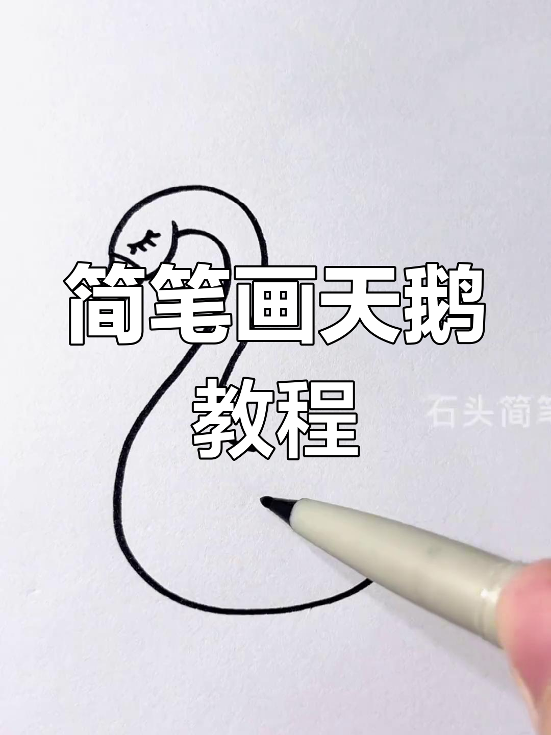 用简单步骤画出白天鹅