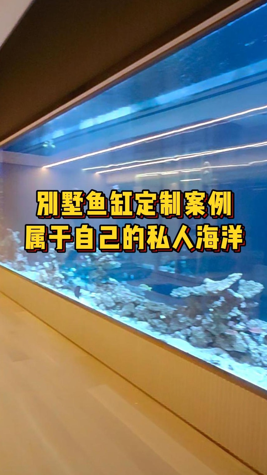 给别墅鱼缸放鱼,在家就可以拥有一个属于自己的私人海洋