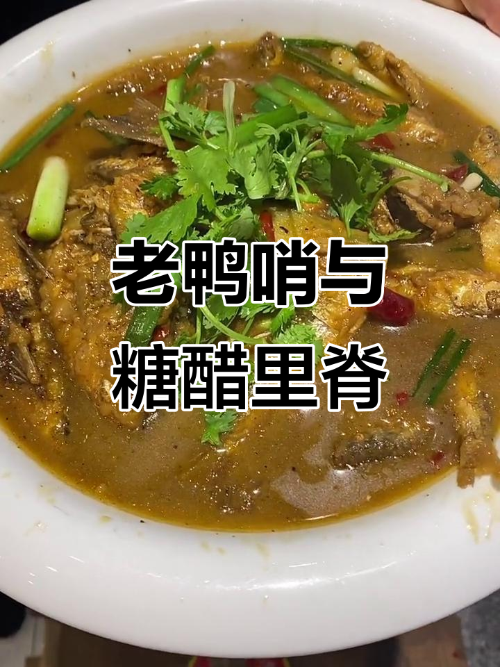 老板娘带你尝遍地道美食,老鸭哨、糖醋里脊统统有