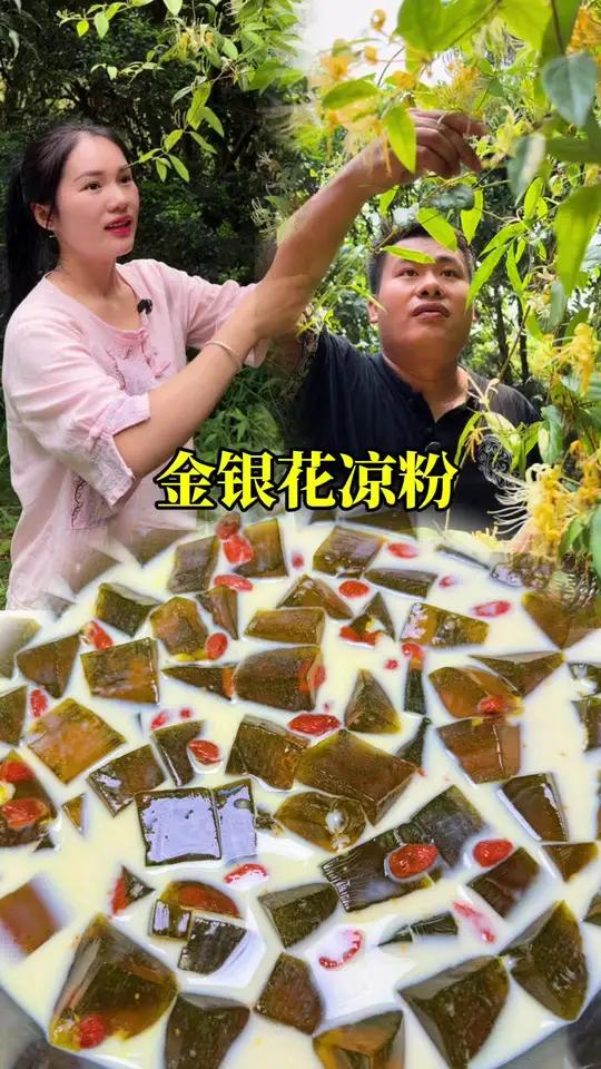 野生的金银花加上新鲜的桑叶,可以弄这样降火的果冻,也可以晒干拿来泡水喝。广西三月三 202