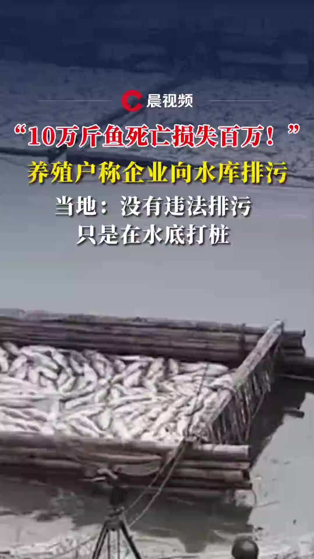 “10万斤鱼死亡损失百万!”养殖户称企业向水库排污,当地:没有排污,只在水底打桩