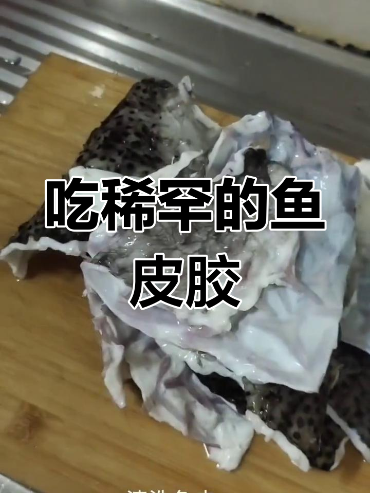 鱼皮胶,别错过!