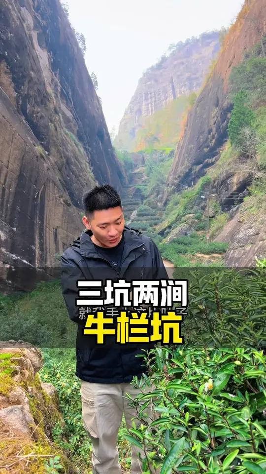 牛栏坑这个名字到底是怎么来的,又为什么被称为马肉 旅行推荐官 武夷岩茶 牛栏坑肉桂 大红袍