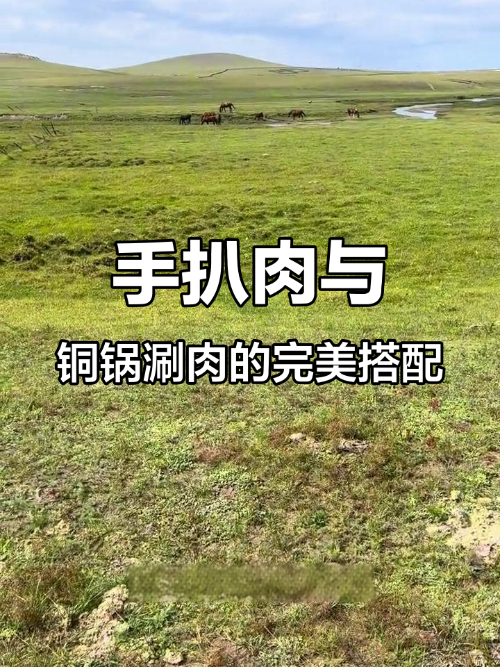 呼伦贝尔必试手扒肉,羊血肠、牛排全攻略