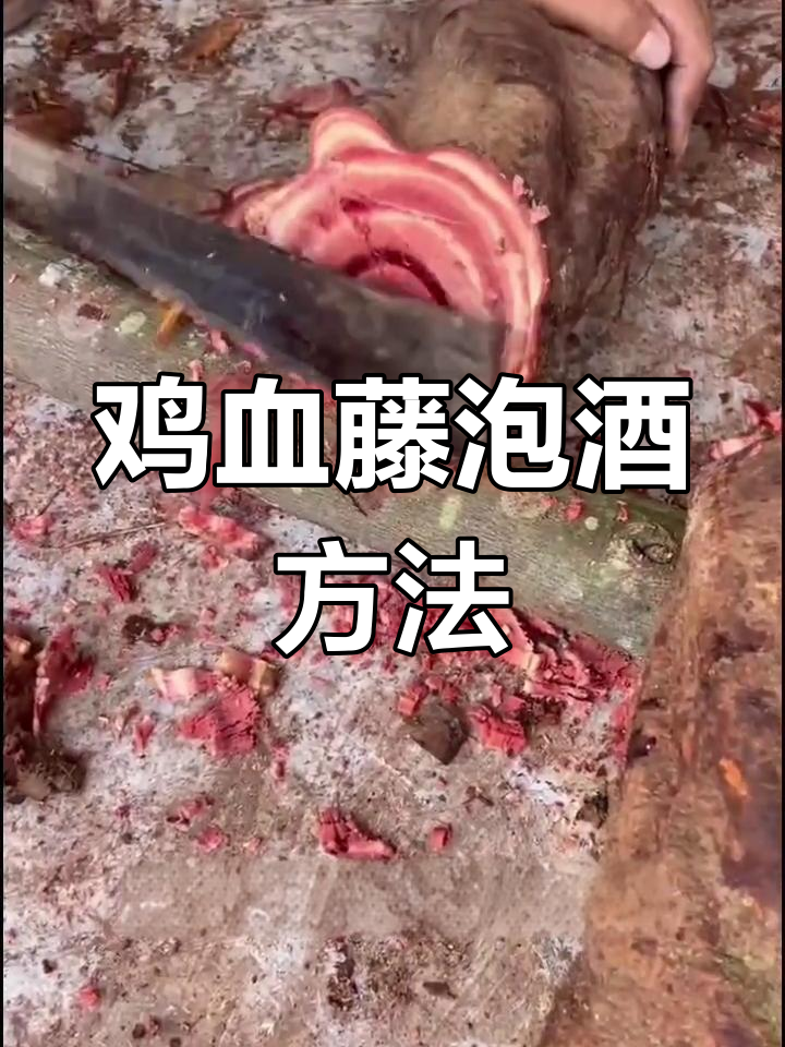 千年鸡血藤泡酒秘方,养生又美味