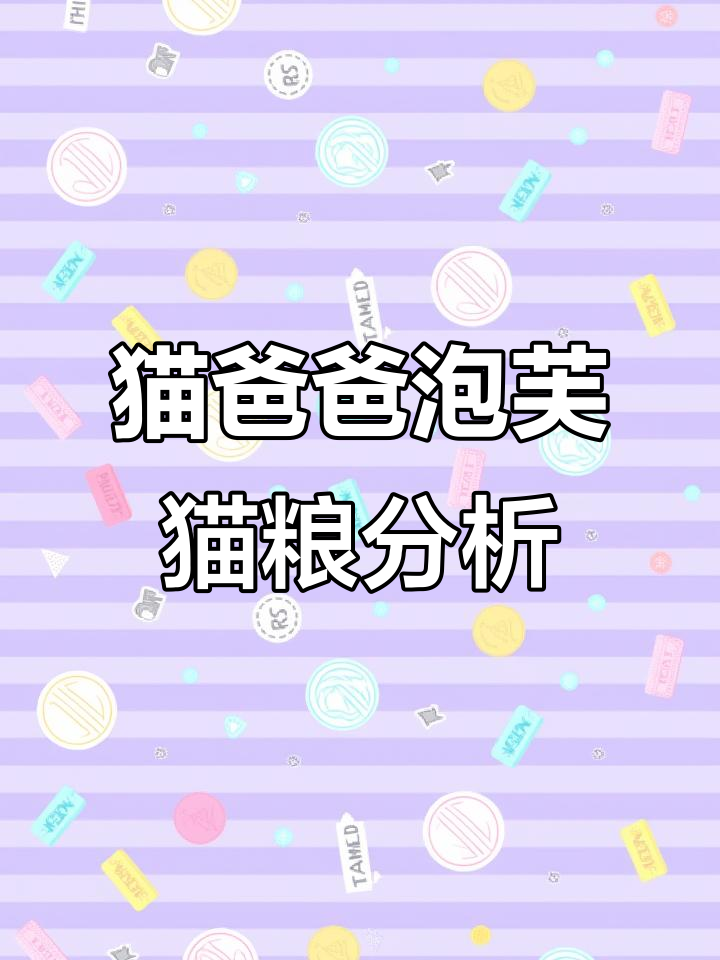 猫爸爸泡芙猫粮深度测评:原料、工艺与性价比全解析