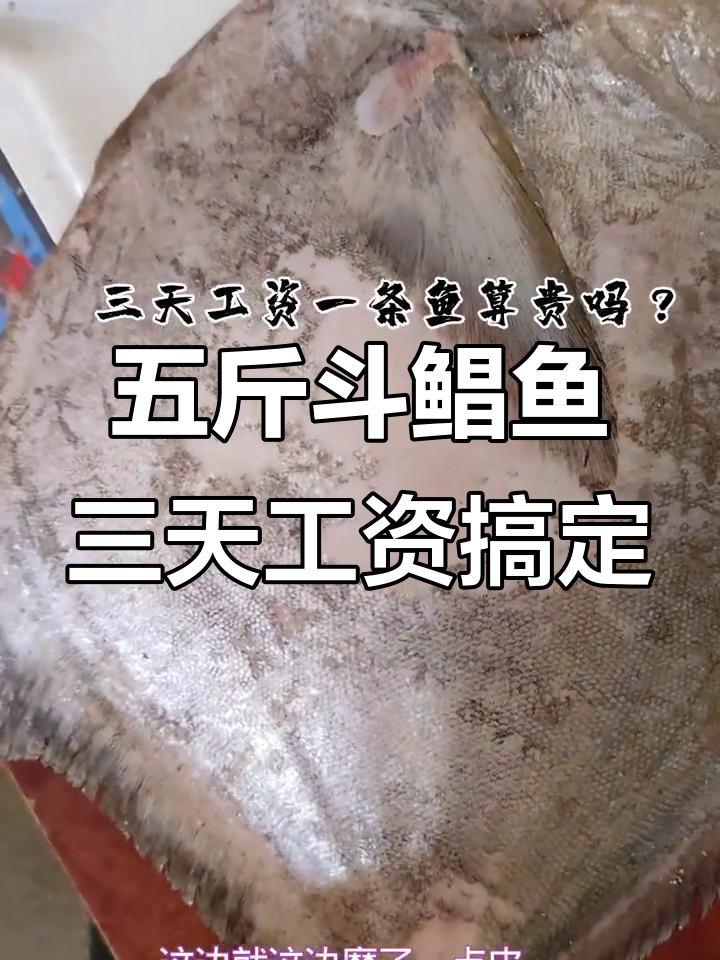 老板大气全款拿下斗鲳鱼,五斤多够孩子吃好几天