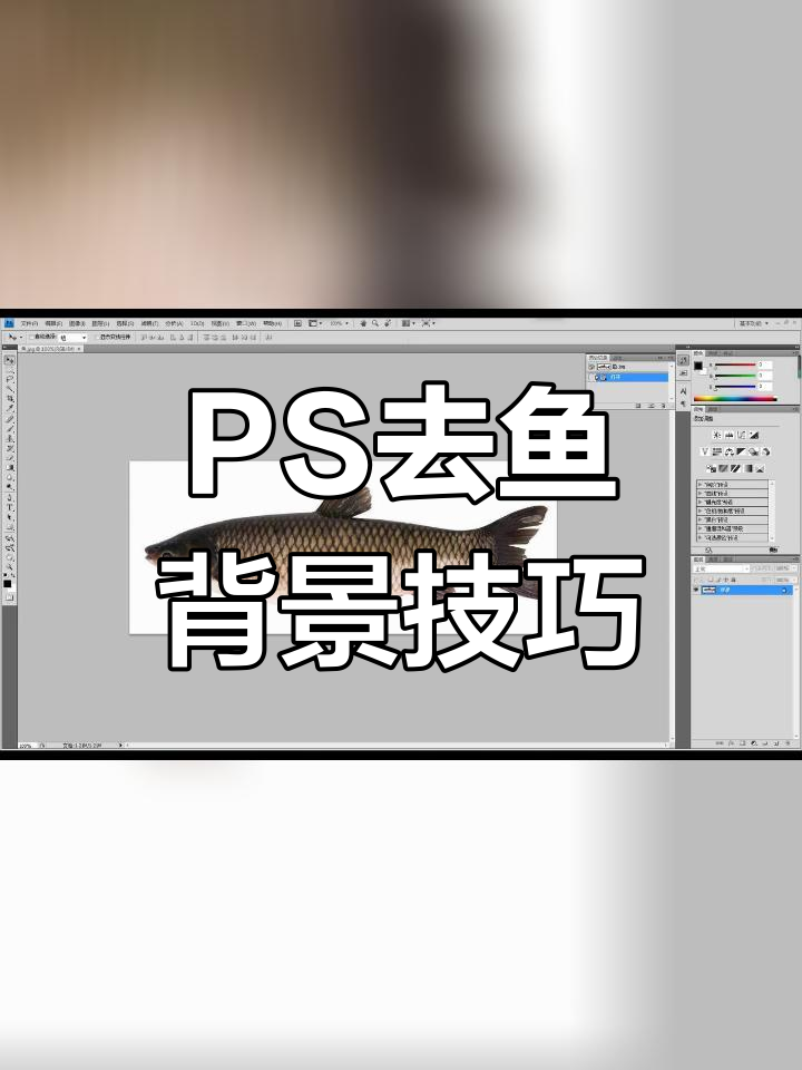 使用PS轻松去除鱼背景,导出无背景图