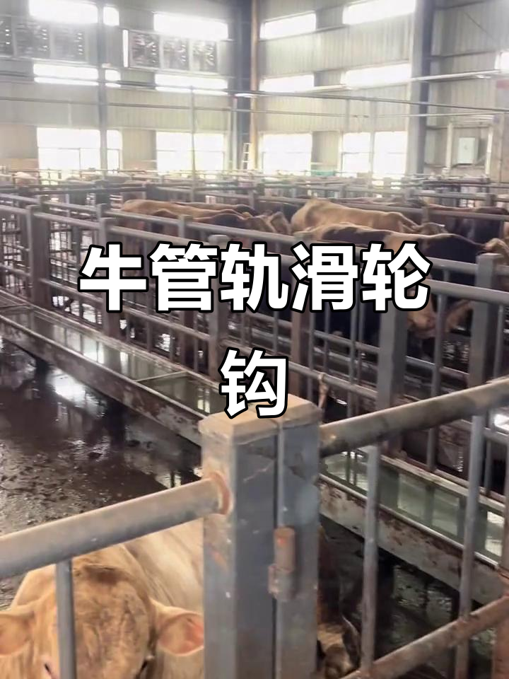 屠宰场专用牛钩子，轻松吊挂牛肉自由