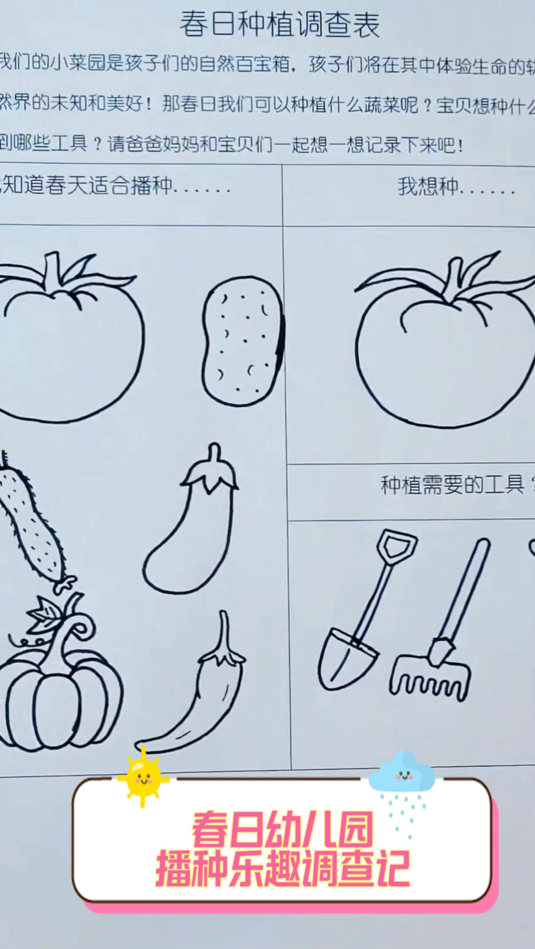春日幼儿园,播种乐趣调查记