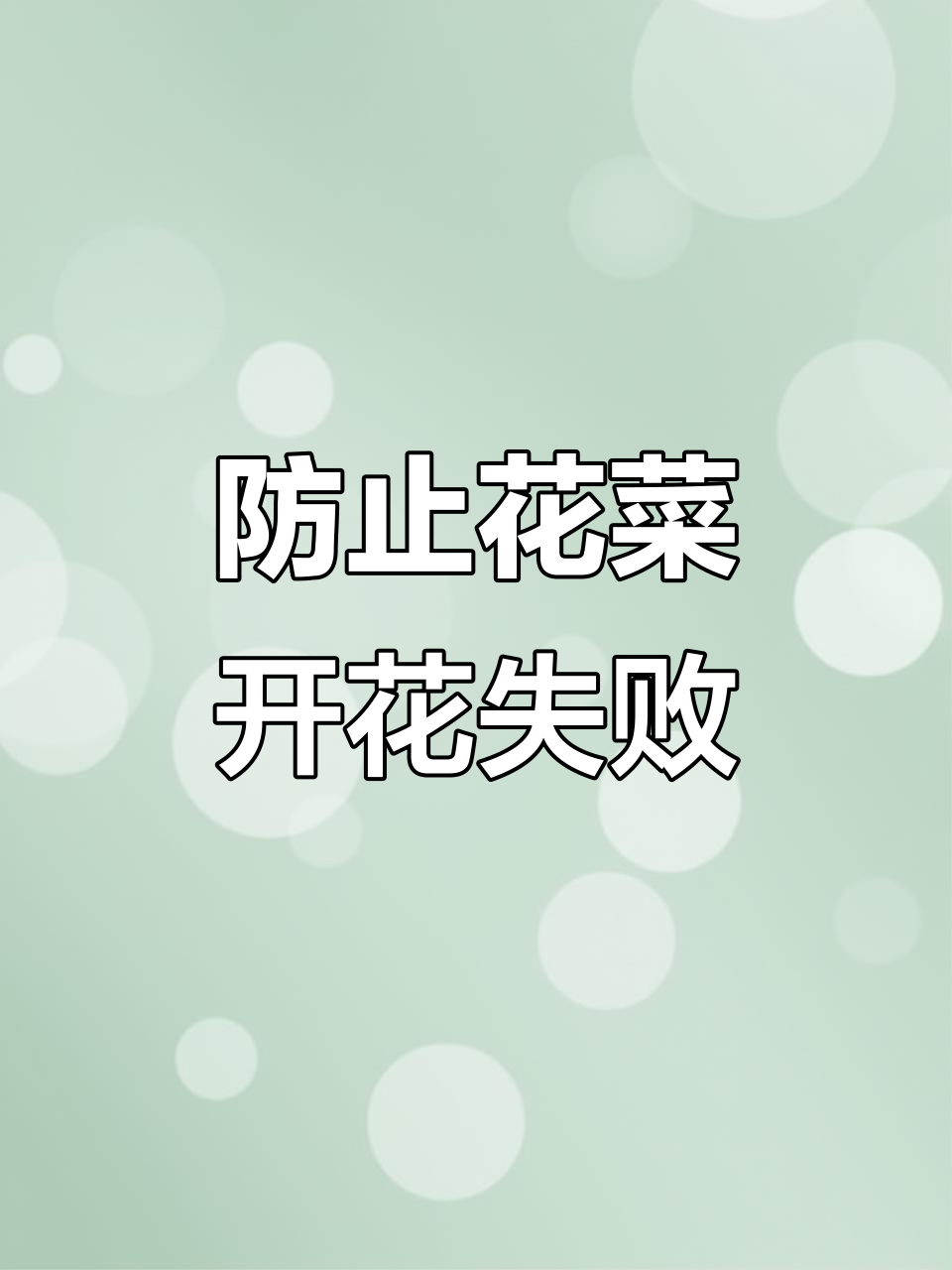 花菜中期养护技巧，如何避免不开花？