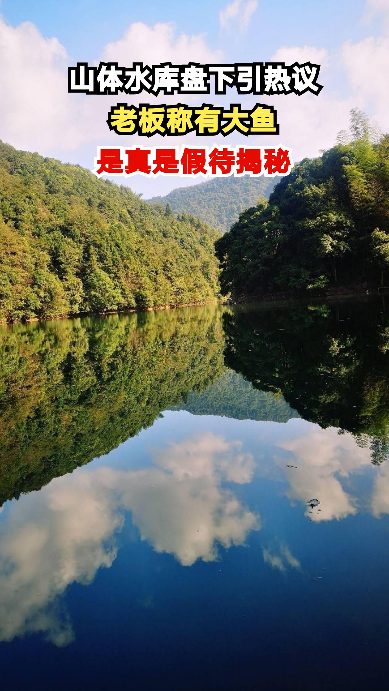 盘下山体水库发现几十斤大鱼,是宝藏还是骗局?