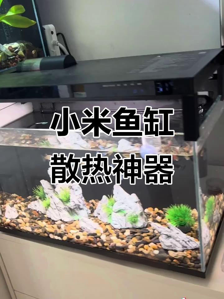 小米鱼缸支架让温度降下来,喂食更方便