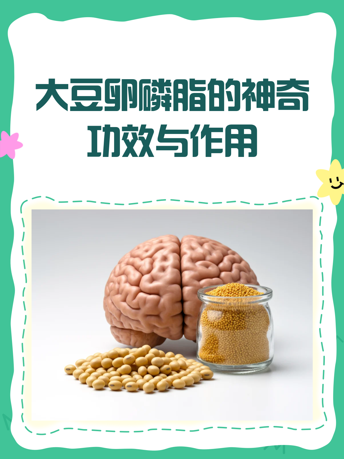 大豆卵磷脂,你真的了解它的全部功效吗?