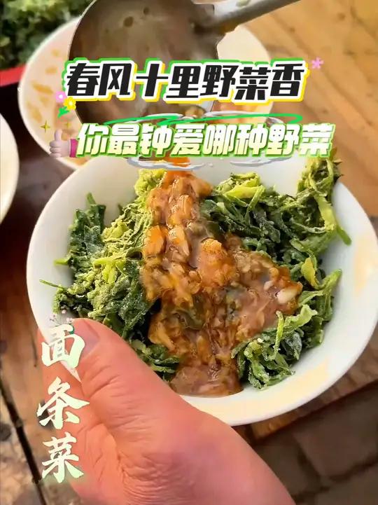 又到了吃野菜的季节,快来山东尝尝春天的限定美味!