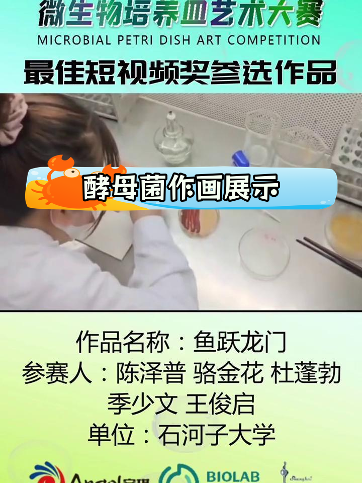 用酵母菌创作鱼跃龙门艺术画