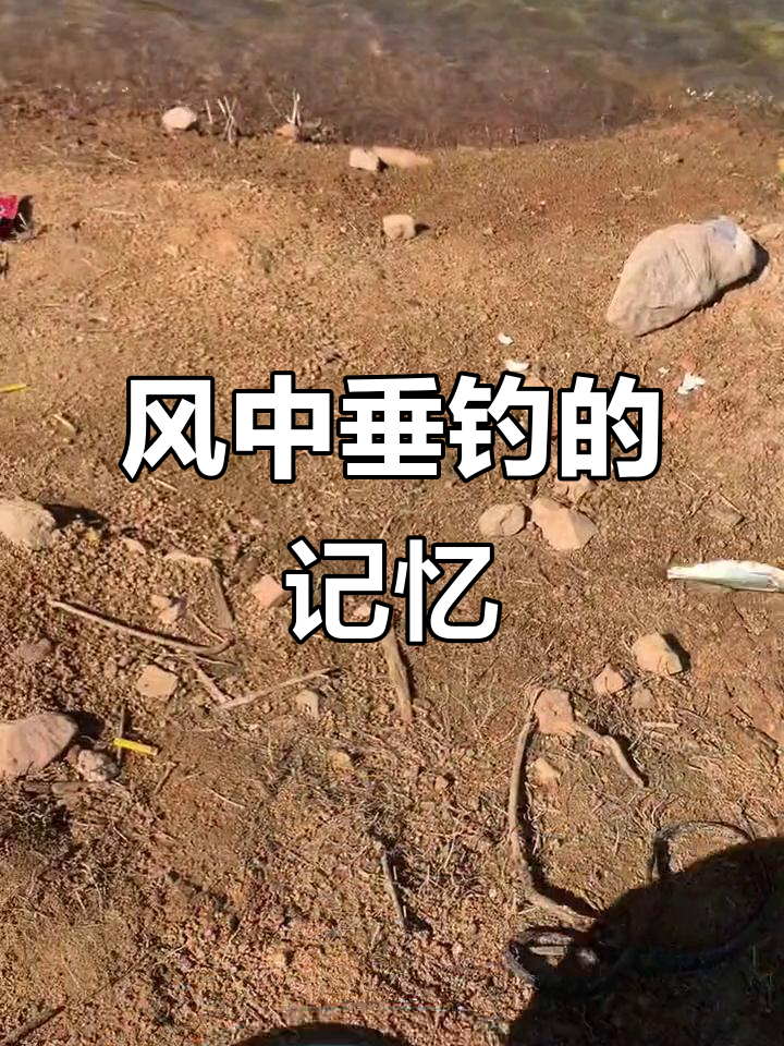 寒风中钓鱼的孤独与深情,梦中的背影悄然消失