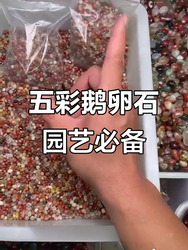 天然五彩鹅卵石,打造家居造景新风尚
