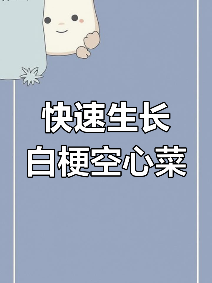 白梗柳叶空心菜,阳台种植轻松上手,口感清脆爽口
