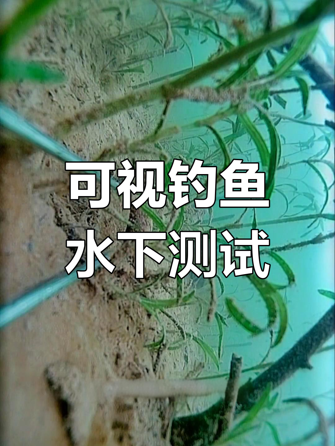 水下摄像头揭秘鱼群栖息地,探钓效果如何?