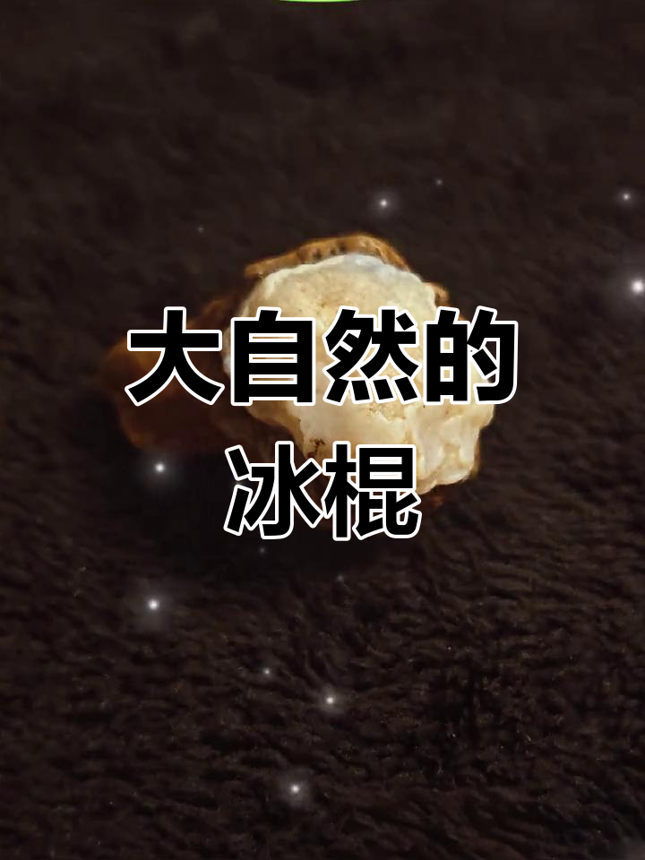 夏日清凉必备!火炬冰淇淋与大自然的完美邂逅