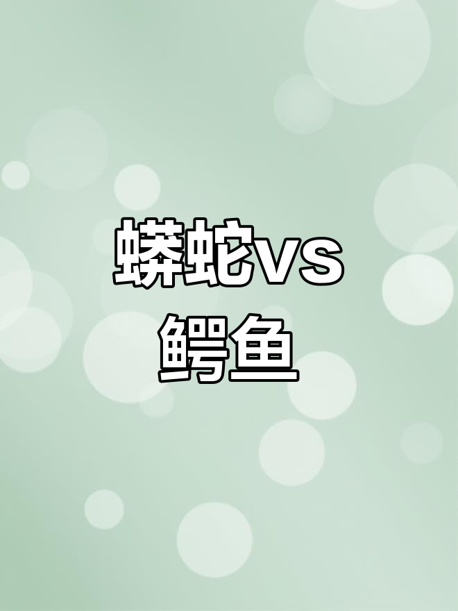 蟒蛇与鳄鱼激烈斗争,谁能笑到最后?