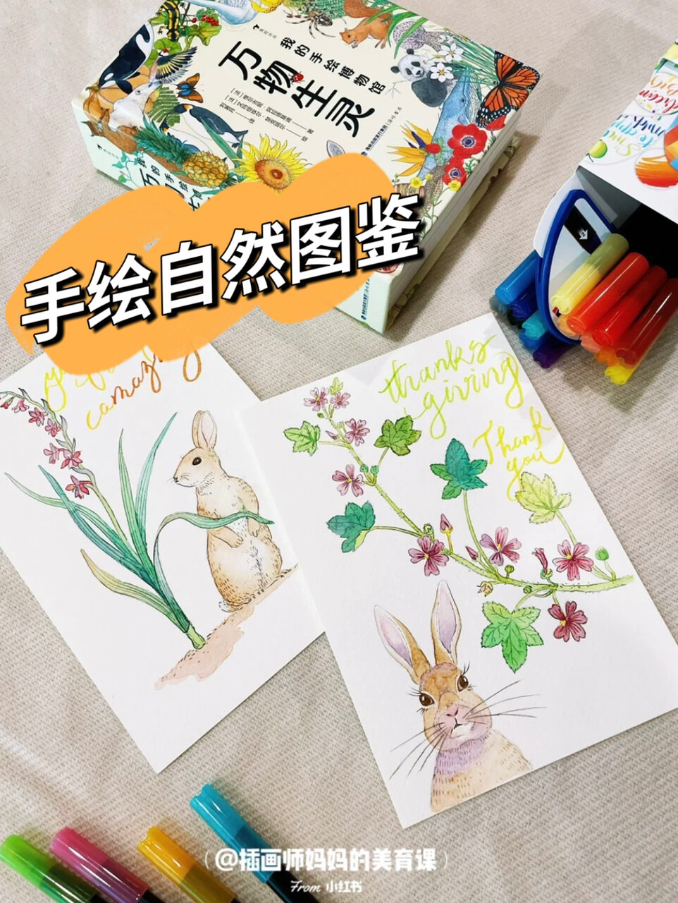 自然笔记怎么画,先看看这本水彩博物图鉴吧!